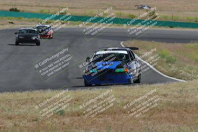 media/May-04-2024-Lucky Dog Racing (Sat) [[d39539b3f3]]/Race Pics/1015am (Turn 2)/